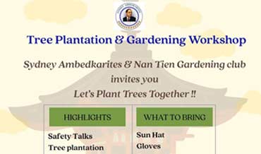 Tree Plantation drive – Nan Tien temple, NSW